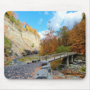 Taughannock fällt Staats-Park Mousepad