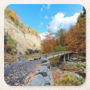 Taughannock fällt Staats-Park Rechteckiger Pappuntersetzer