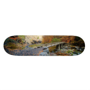 Taughannock fällt Staats-Park Skateboard
