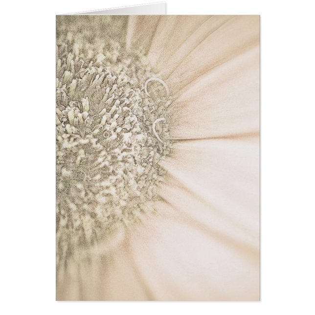 Taumeln in Gold (Vorne)