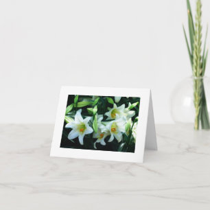 *TAUNT* SIE SIND LIEBT OSTKARTE KARTE