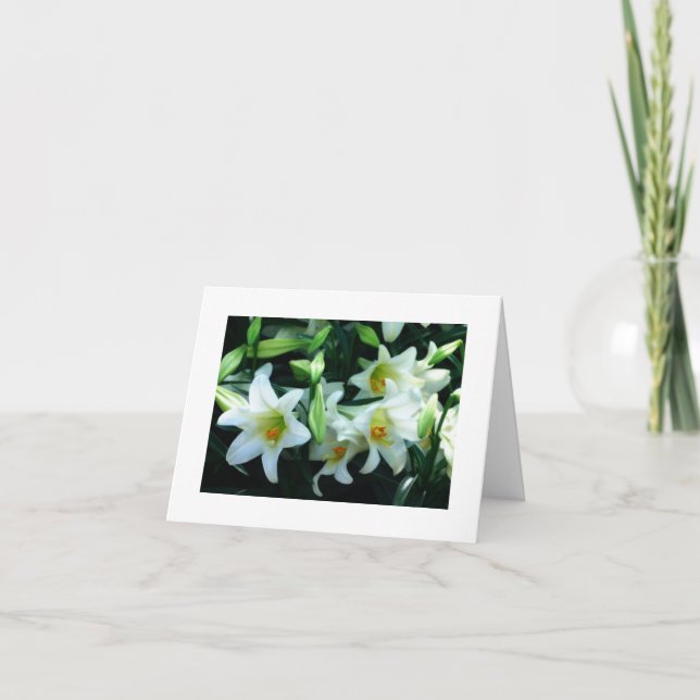 *TAUNT* SIE SIND LIEBT OSTKARTE KARTE (Vorderseite)