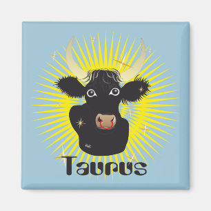 Taurus 21. April bis 20. Mai Magnet