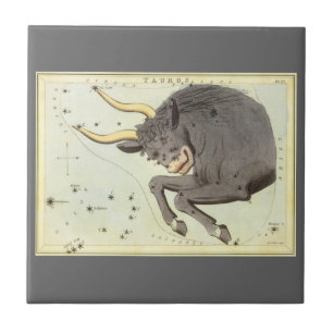 Taurus Bull, Vintager Sternbild Urania Fliese