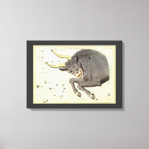 Taurus Bull, Vintager Sternbild Urania Leinwanddruck