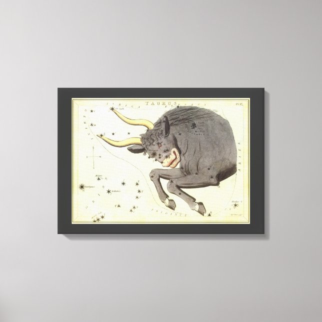 Taurus Bull, Vintager Sternbild Urania Leinwanddruck (Vorderseite)