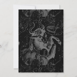 Taurus Constellation Hevelius Dekor 1690