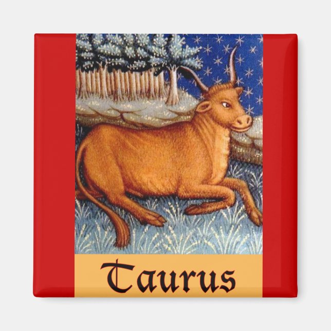Taurus Magnet (Vorne)