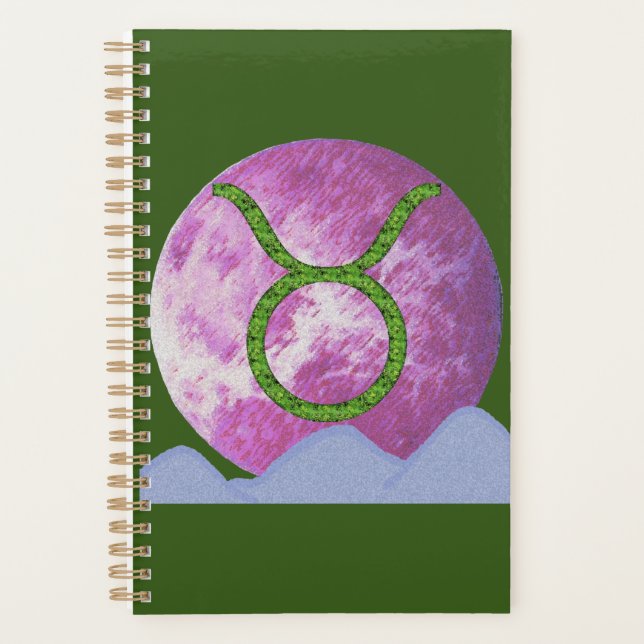 Taurus Planer (Vorderseite)