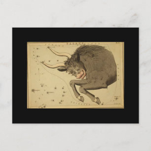 Taurus Postcard Postkarte