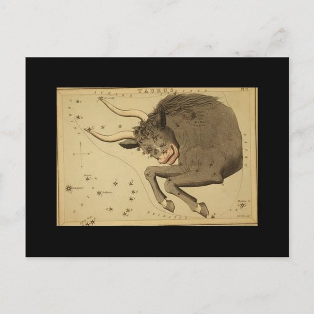 Taurus Postcard Postkarte (Vorderseite)