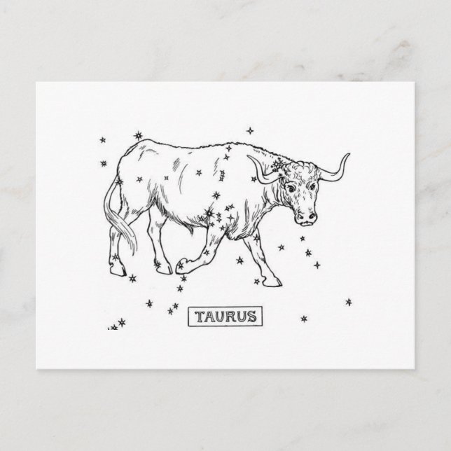Taurus Postkarte (Vorderseite)