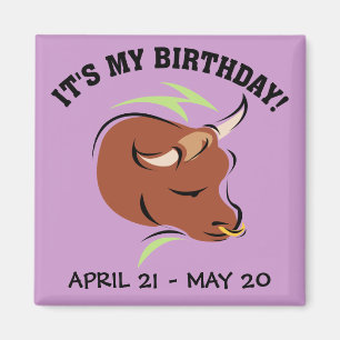 Taurus the Bull Artistic Zodiac Sign Illustration Magnet