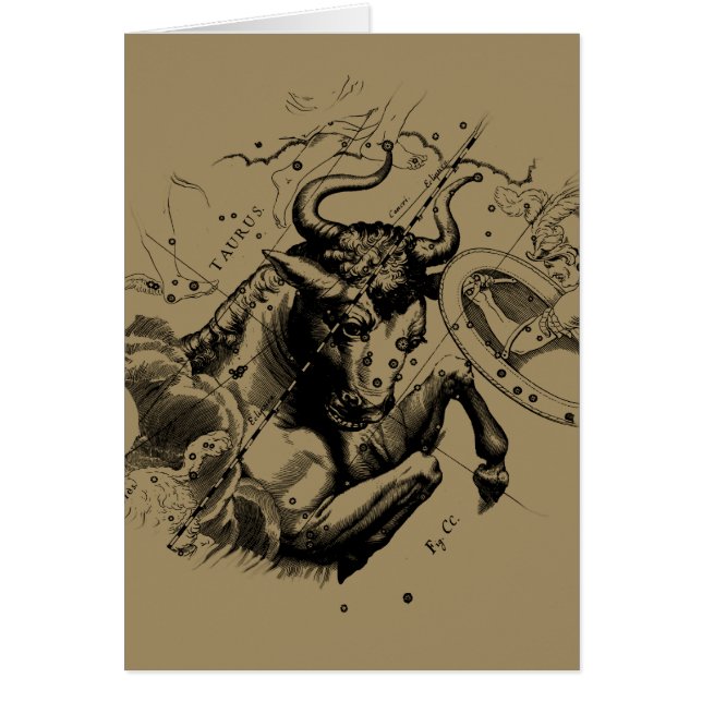 Taurus Zodiac Constellation Map Hevelius 1690 (Vorne)