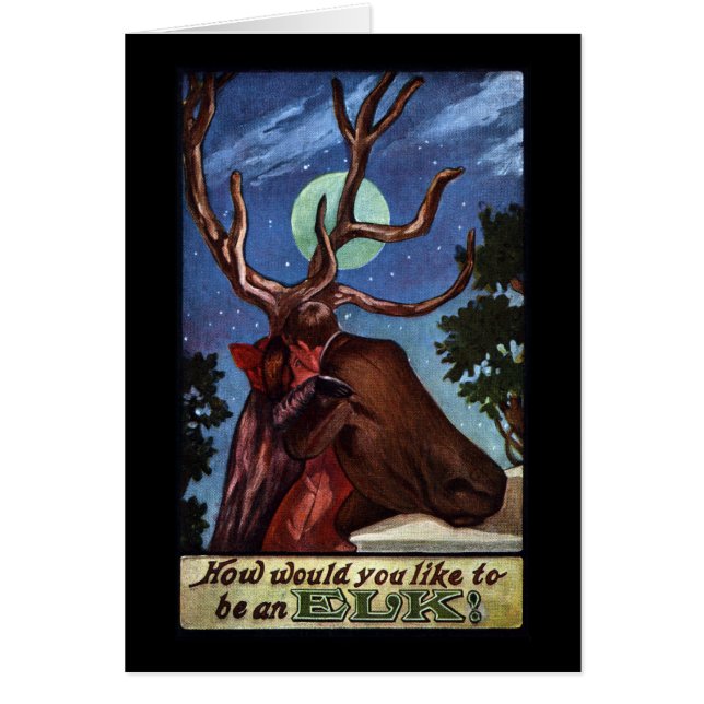 Täuschungs-Elche (Vorne)