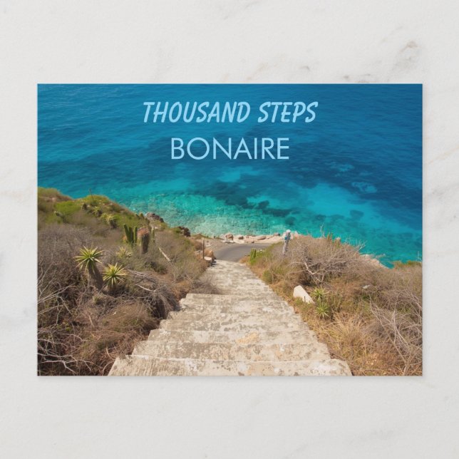 Tausend Schritte Bonaire Postkarte (Vorderseite)