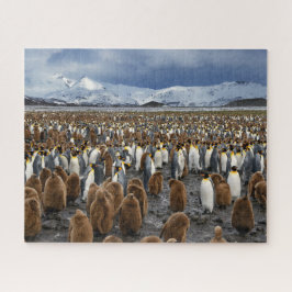 Tausende King-Pinguine auf der Insel South Georgia Puzzle