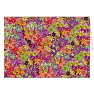 Tausenden Taglilien!