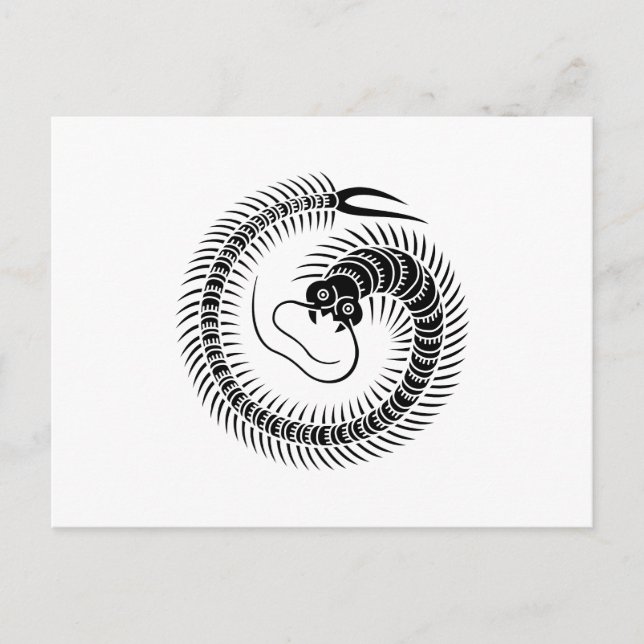 Tausendfüßler-Kreis Postkarte (Vorderseite)
