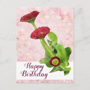 Tausendschön Postkarte