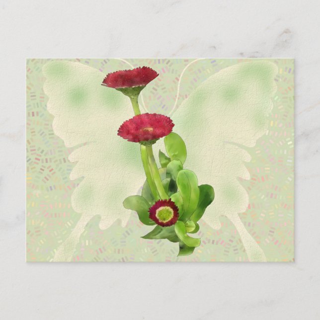 Tausendschön Postkarte (Vorderseite)