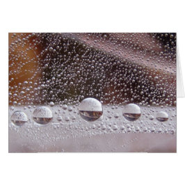 Tauw Drop Yin Yang Friedliche Naturekarte mit Gedi