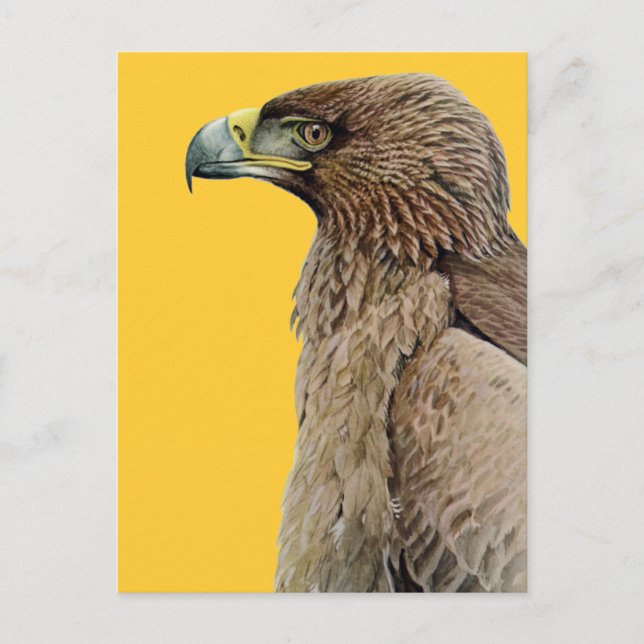 Tawny Eagle Postkarte (Vorderseite)