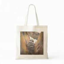 Tawny Frogmouth Chicks Tasche