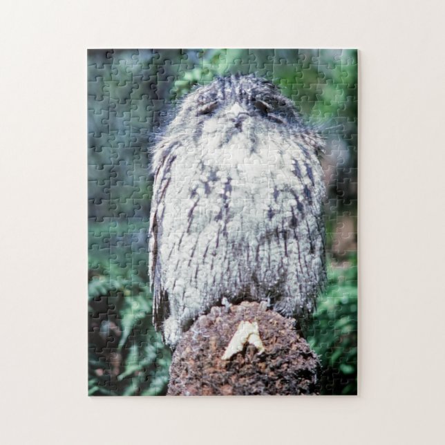 Tawny Frogmouth, Tasmanien, Australien Puzzle (Vertikal)