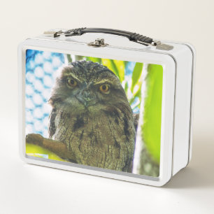 Tawny ist No Owl Metall Brotdose