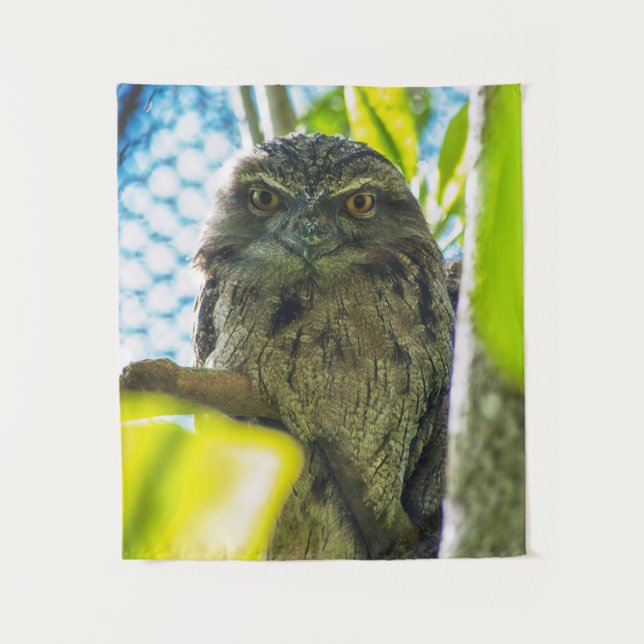 Tawny ist No Owl Wandteppich (Vorderseite)