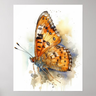 Tawny Kaiser Butterfly Art Print Poster