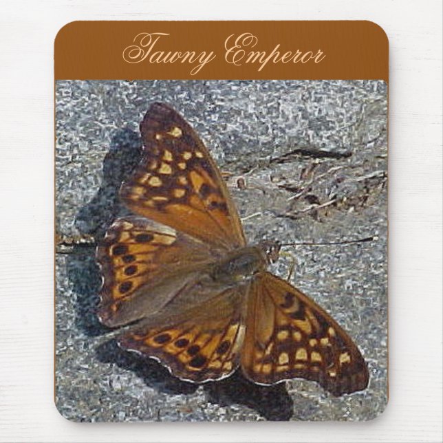 Tawny Kaiser Butterfly Mousepad (Vorne)