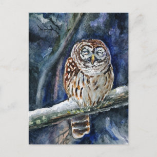 Tawny Owl Aquarell Postkarte