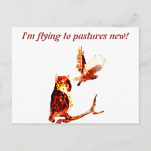 Tawny Owl Art Moving Zuhause Postkarte