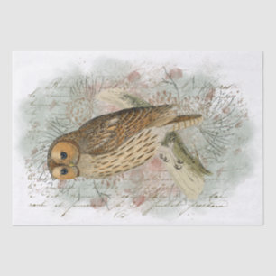 Tawny Owl Bird Pinecone Französisch Script Decoupa Seidenpapier