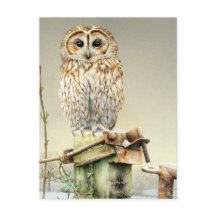 Tawny Owl im Snow Fine Art Aquarellkarte