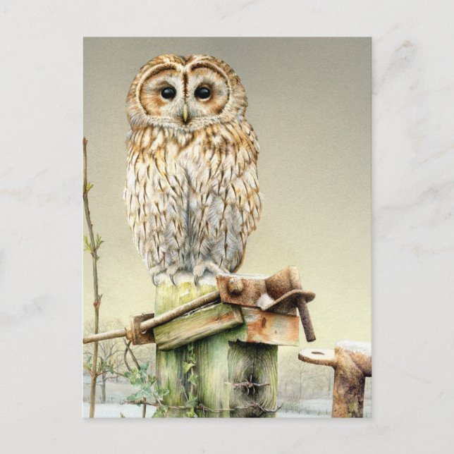 Tawny Owl im Snow Fine Art Aquarellkarte Postkarte (Vorderseite)
