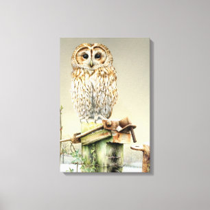 Tawny Owl in der schneebedeckten Leinwand