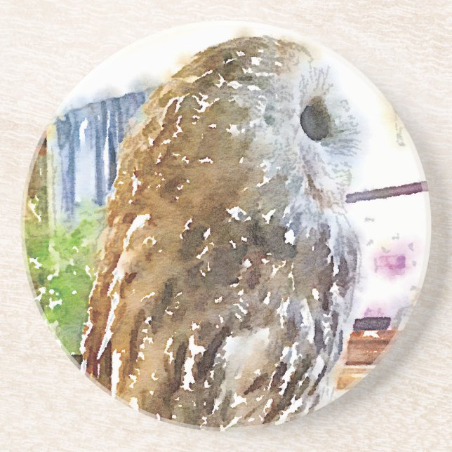 Tawny owl painted with watercolors sandstein untersetzer (Vorne)