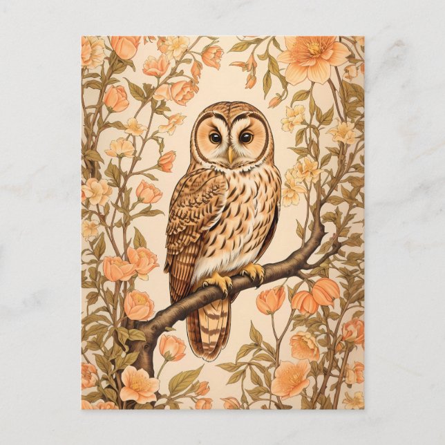 Tawny Owl Peach Blossoms William Morris Inspiriert Postkarte (Vorderseite)