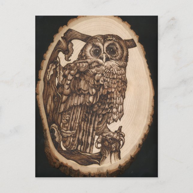 Tawny Owl Postkarte (Vorderseite)
