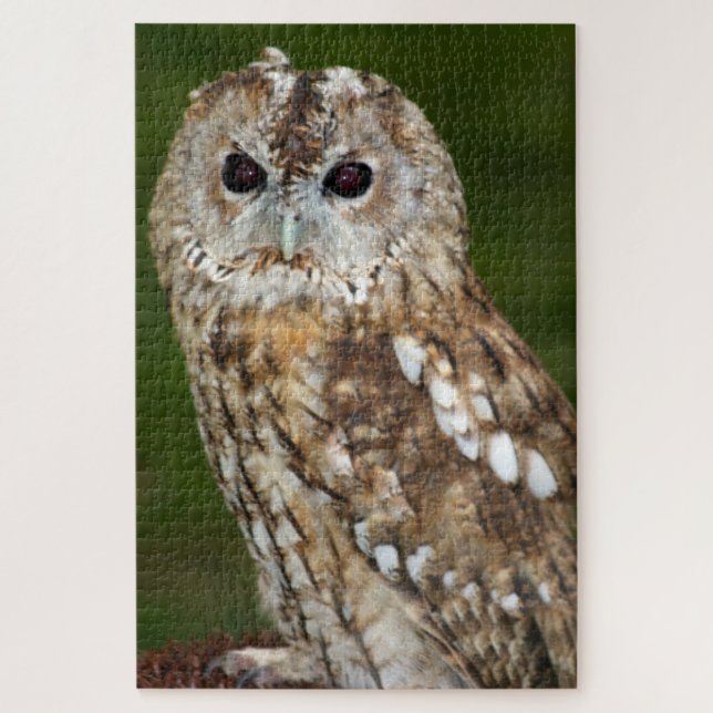 Tawny Owl Puzzle (Vertikal)