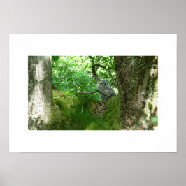 Tawny Owlet in einem antiken Oak Trester Poster