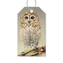 Tawny Uhu feine Kunstmalerei Weihnachtsgeschenk Ta