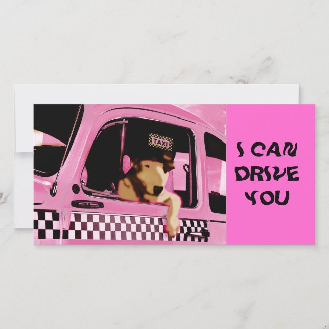 TAXI "Hund" (Vorderseite)