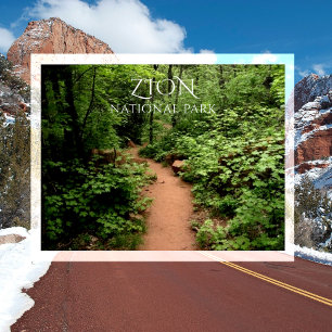 Taylor Creek Trail, Kolob Canyons, Zion NP Utah Postkarte