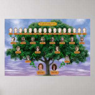 Taylor Family Tree Poster