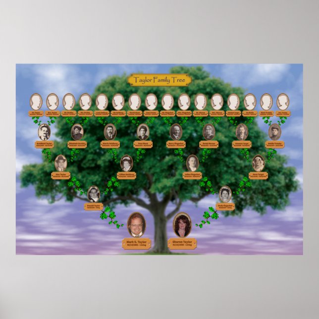 Taylor Family Tree Poster (Vorne)