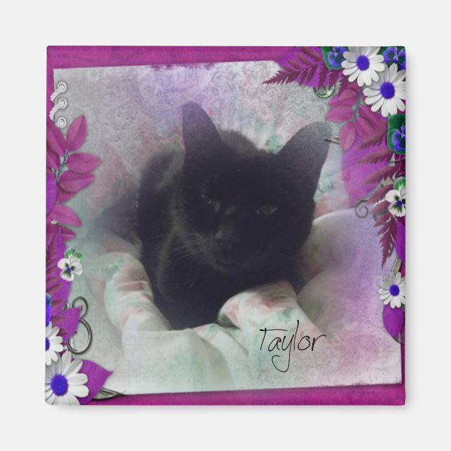 Taylor Kühlschrank Magnet (Vorne)